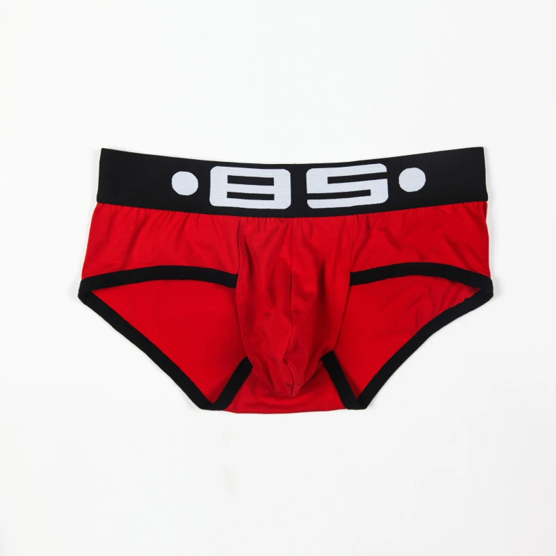 

BS Brand Briefs Men Underwear Male Panties Sexy Breathable Mens Briefs Cotton Slip Underpants Cuecas jocks Men Hombre Mesh 13