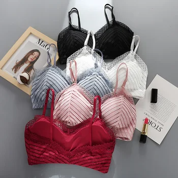

Women Sexy Padded Seamless Bra Women Lace Wireless 5 Colors Sexy Female Lingerie Underwear
