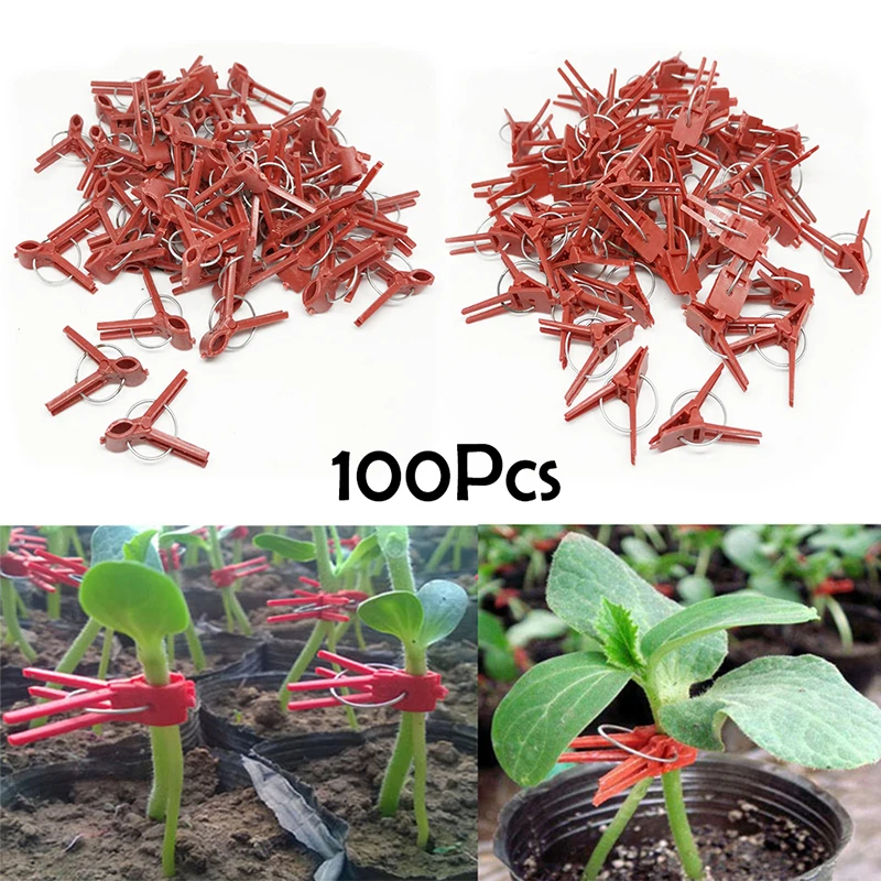 100pcs Plastic grafting clips garden vegetable plants Flat and RoundX TFSU 