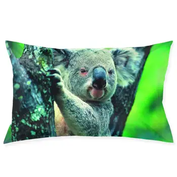 

Koala Fashionable pillowcase and rectangular decorative pillowcase 20 "x30"