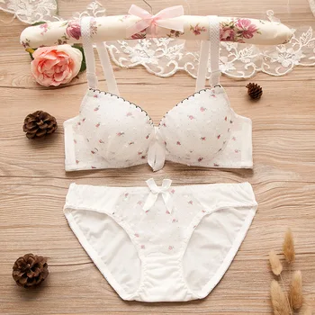

New flower underwear women set Bow Lace bra and panty sets cute Sexy lingerie crop top bras panties Set Briefs 2 piece set women