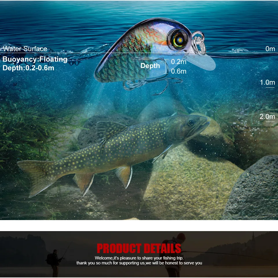 9249559435_1683047726