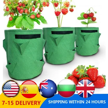 

4 Hole 8 Hole Vertical Vegetable Planting Yard Felt Wall Hanging Growing Outdoor Garden Potato Strawberry Planter Bag