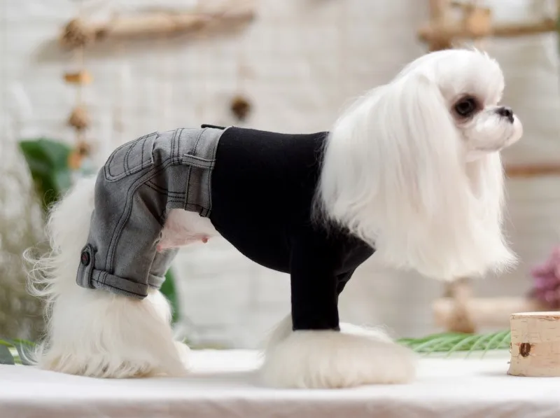 dog jumpsuits jean clothes (8)