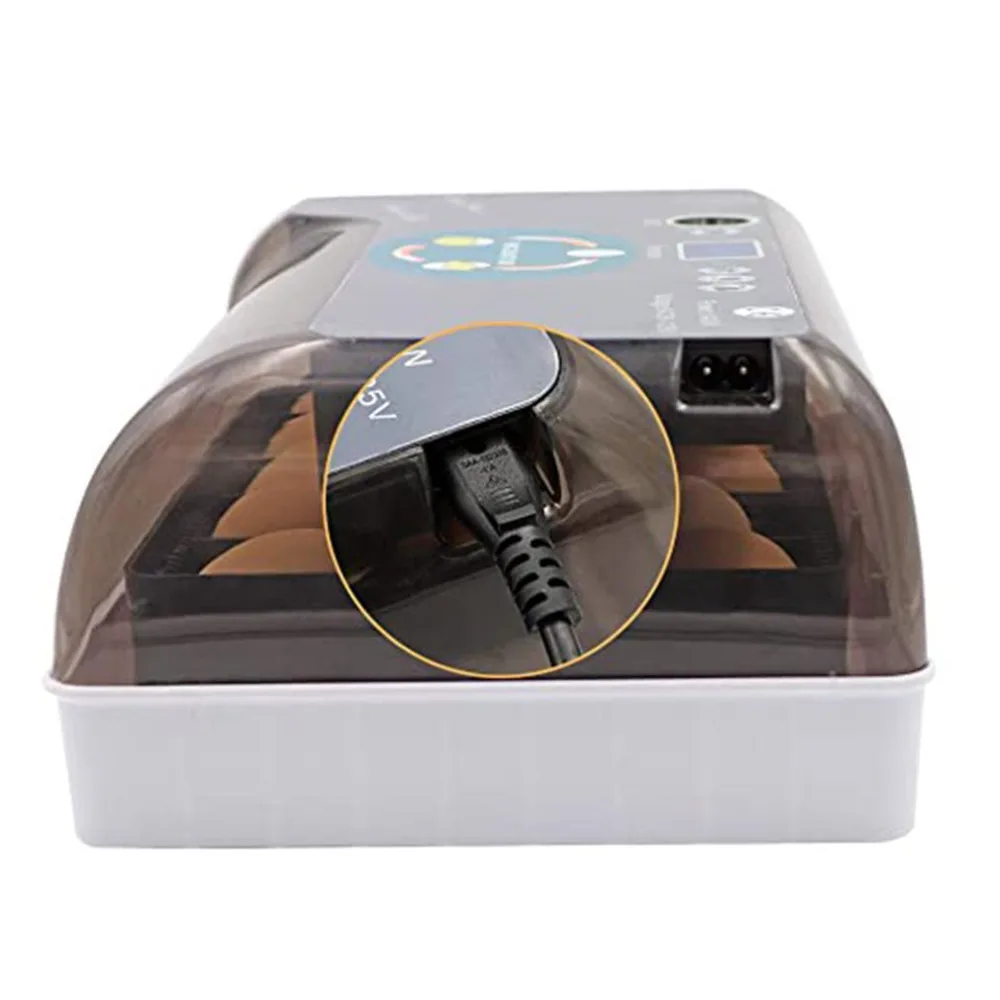 XJD1001-C-20061505-1