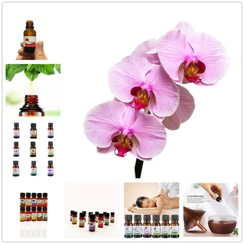 

Orchid Cymbidium Essential Oils 1 Bottle Organic Flower Extract Honeysuckle Oilfor Pain Relief Reduce Sleep Anxiety