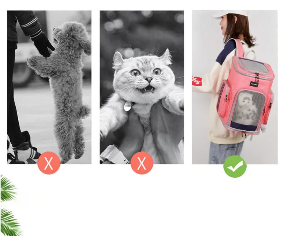 Title 12, Pet Cat Carrier Backpack Transparent Travel Car...