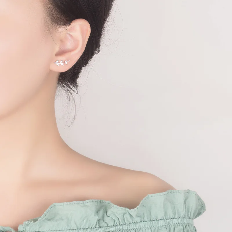 8997392850_1245011893