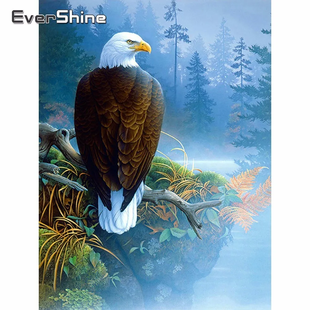 Evershine 5D алмазная живопись полная выкладка квадратный Орел вышивка крестиком