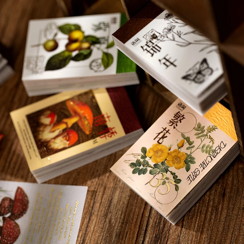 

100 листов ретро-завод гриб золочение прозрачный дневник-блокнот для заметок стационарный хлопья блокнот ручной работы декоративные Винтаж материала книга