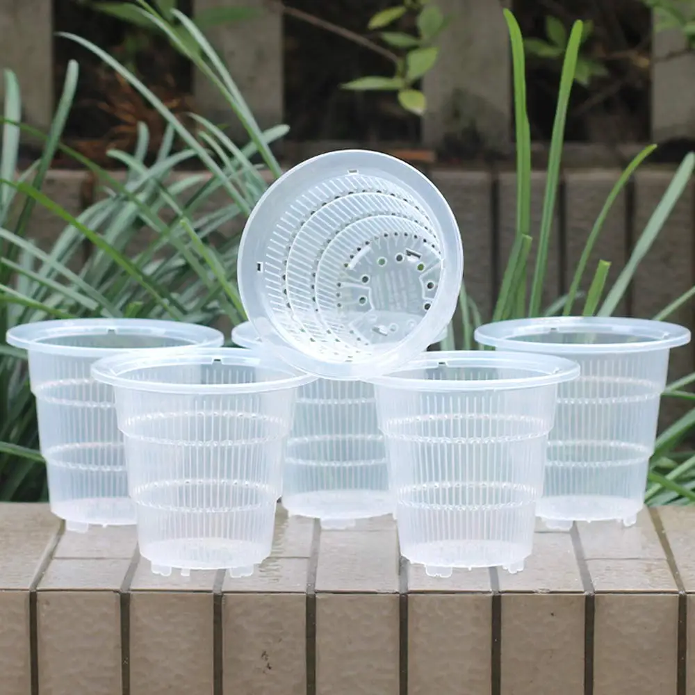 Vasi per orchidee trasparenti con colonna d'aria vasi trasparenti vaso da  fiori in plastica con fori d'aria in 10 cm