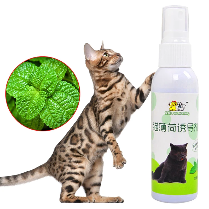 

New Organic 50ml Natural Catnip Spray Cat Scratch Plate Inducer Fresh Extract Funny Cat Catnip Props Improve Cat Excitement Toy