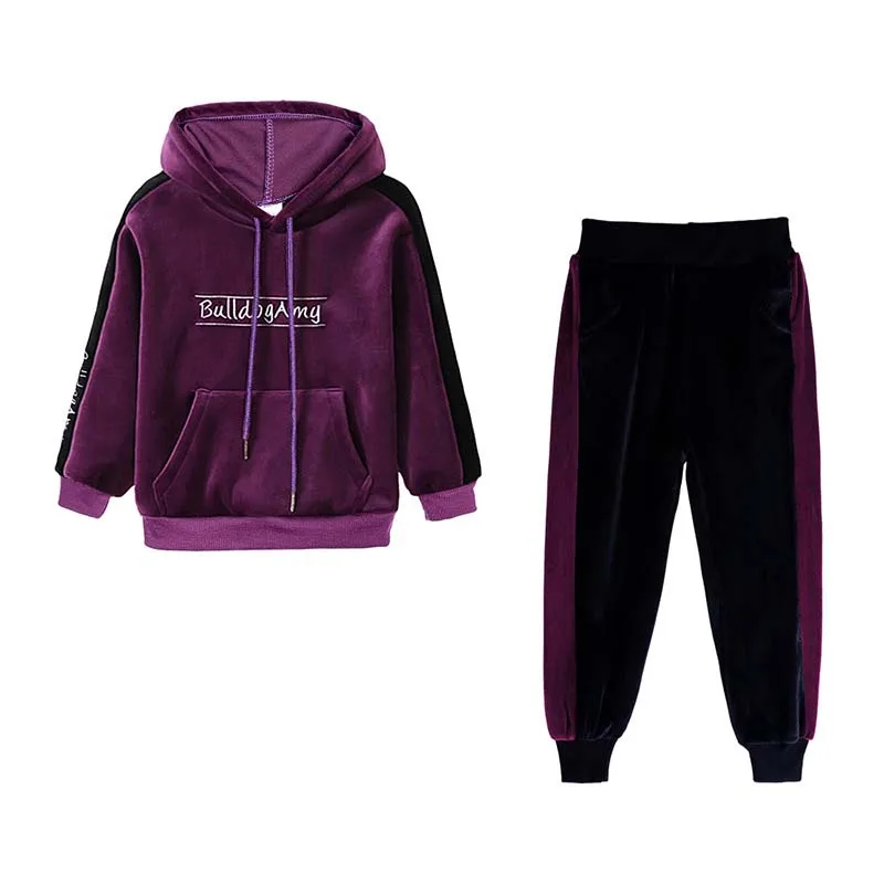 Модный комплект одежды для детей, теплый спортивный костюм для мальчиков и девочек, толстовка с капюшоном+ брюки, комплект одежды, От 1 до 8 лет на осень и зиму - Цвет: Фиолетовый