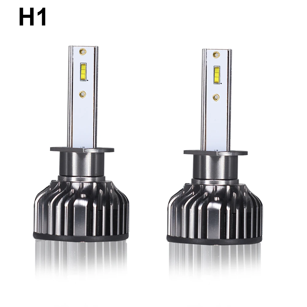 H1