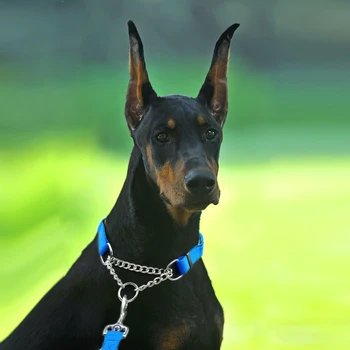 

Pet Dog Collar Adjustable Collar Multiple Colors Optional Traction Rope With Chain Large Dog Training Accessories^1