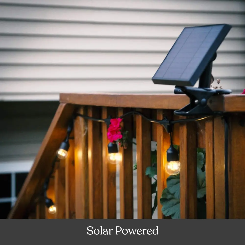 solar bulb string (23)