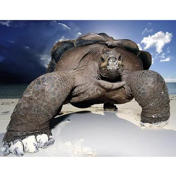 

Household Adornment 5D Diamond Painting Full Rhombus Rhinestones Animal Sea Turtle" Embroidery Cross Stitch 5D Home Decor Gift