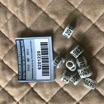

2020 BELG Pigeon foot ring with cards Bird RINGs 100pcs tickets