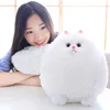 Fluffy Cat Plush Toys Persian Cat Stuffed Dolls Soft Pillow Stuffed Animal Peluches Dolls Baby Kids Toys Christmas Gifts ► Photo 2/6