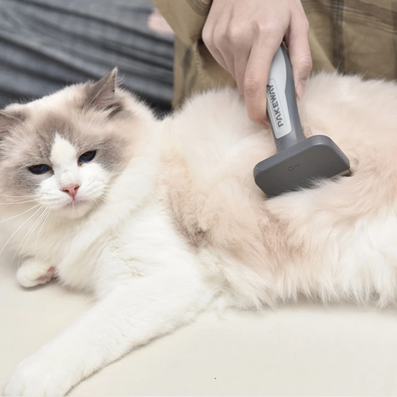 

Grooming Hair Plastic Cat Dog Dematting Comb Pet Pet Flea Hair Remover Comb Pet Grooming Shedding Professional Tools MM60GSZ