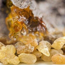 Эфирное масло ладана может выцветать рубцы и морщины, успокаивает, питает, регулирует сухую, состаренную и темную кожу, восстанавливает эластичность кожи