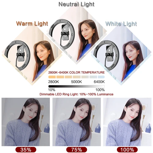 미니 셀카 LED 비디오 링 라이트 램프, 테이블 삼각대 포함, 유튜브 폰 라이브 사진 스튜디오용, 10 인치 6