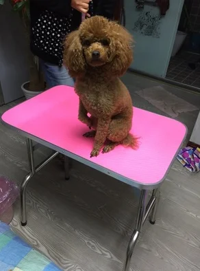 Cheap Foldable Stainless Steel Pet Grooming Table for Small Pet Portable Operating Table Rubber Surface Bath Desk Blue Pink