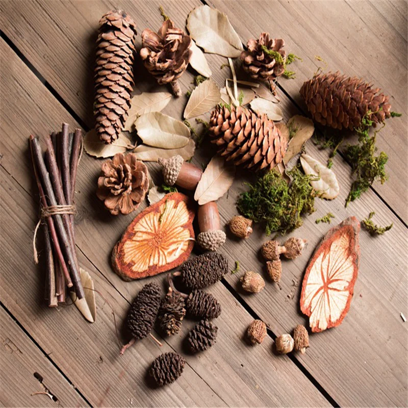 

Vintage Photo Props Female Hand-Made DIY Material Package Natural Micro-Landscape Twigs Acorns Dried Flowers QW96