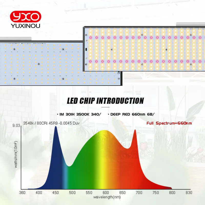 Sam-sungLM301H LED 성장 조명 V3 보드, Meanwell 드라이버 포함, 240W, 480W, 720W, 3000K, 3500K, 660nm UV IR 성장 상자, 식물 채식 꽃