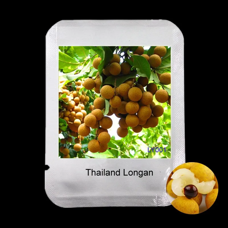 Легкая профессиональная упаковка для выращивания 2 шт тайское Longan растение для дома и сада, экстра-сладкий Экстра-Большой бонсай фруктовый Флорес,# LY001