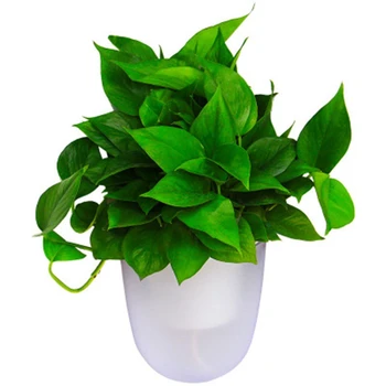 

Right-Angle Flower Pot Corner Corner Flower Pot Self-Absorption Flower Pot