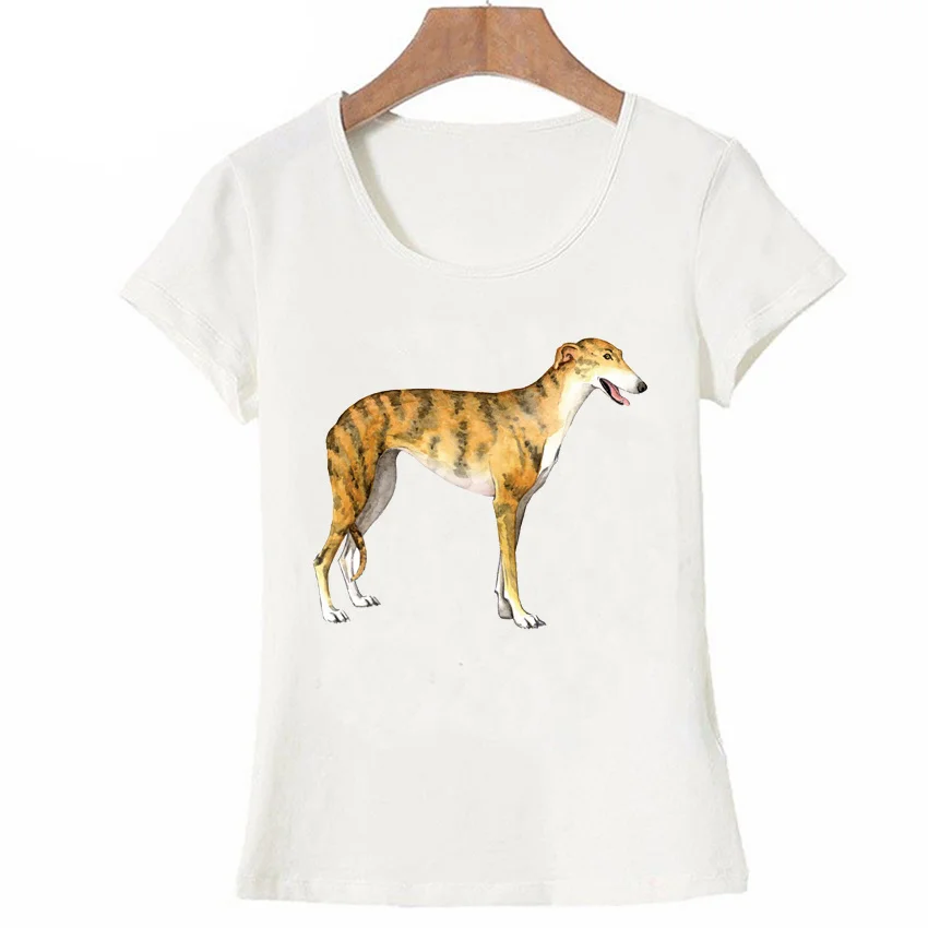 UTB8YPTDhT_IXKJkSalUq6yBzVXaE