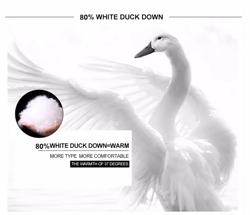 80%