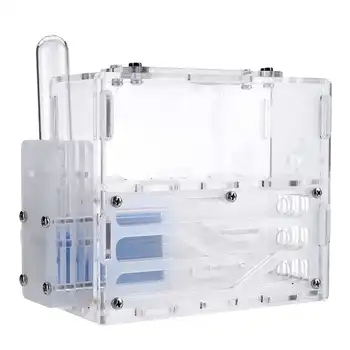 

3D Ant Farm Maze Earth Nest Formicarium Housing DIY Ant Farm House Display Box For Ant Colony House Ants Moisture Big Space