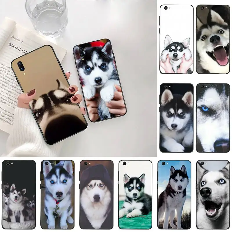 Чехол для телефона Vivo Y91c Y17 Y51 Y67 Y55 Y7s Y81S Y19 V17 vivo s5 | Мобильные телефоны и аксессуары