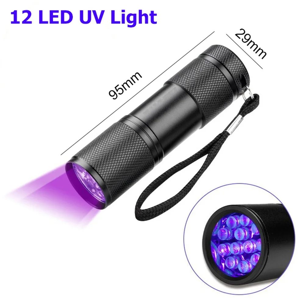 12 LEDs