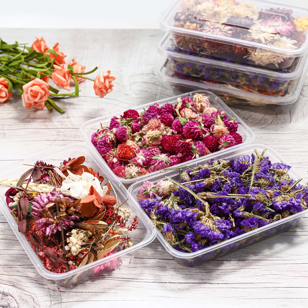 1Box Real Dried Flower Dry Plants Filling Material For DIY Epoxy Resin  Jewelry Making Craft Aromatherapy Candle Accessories