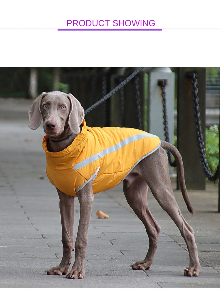 roupa de inverno para vestimenta acolchoada para cachorros médios traje para cachorro de prova