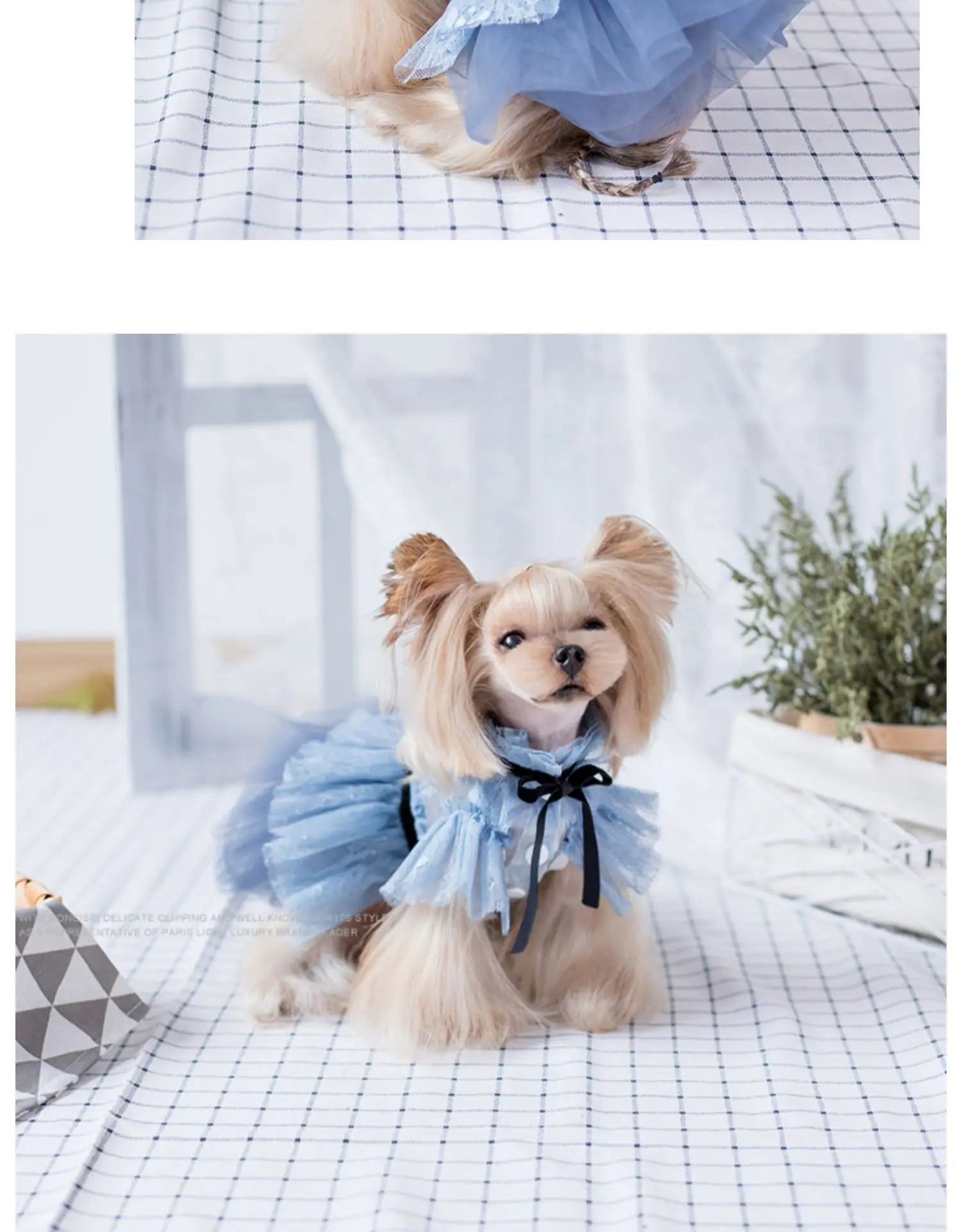 Vestidos Tutu monocromáticos para cães pequenos e