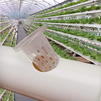 

50PCS Vegetable Net-Cup Slotted Mesh Soilless Culture Vegetables Pots Hydroponic Graden Supplies