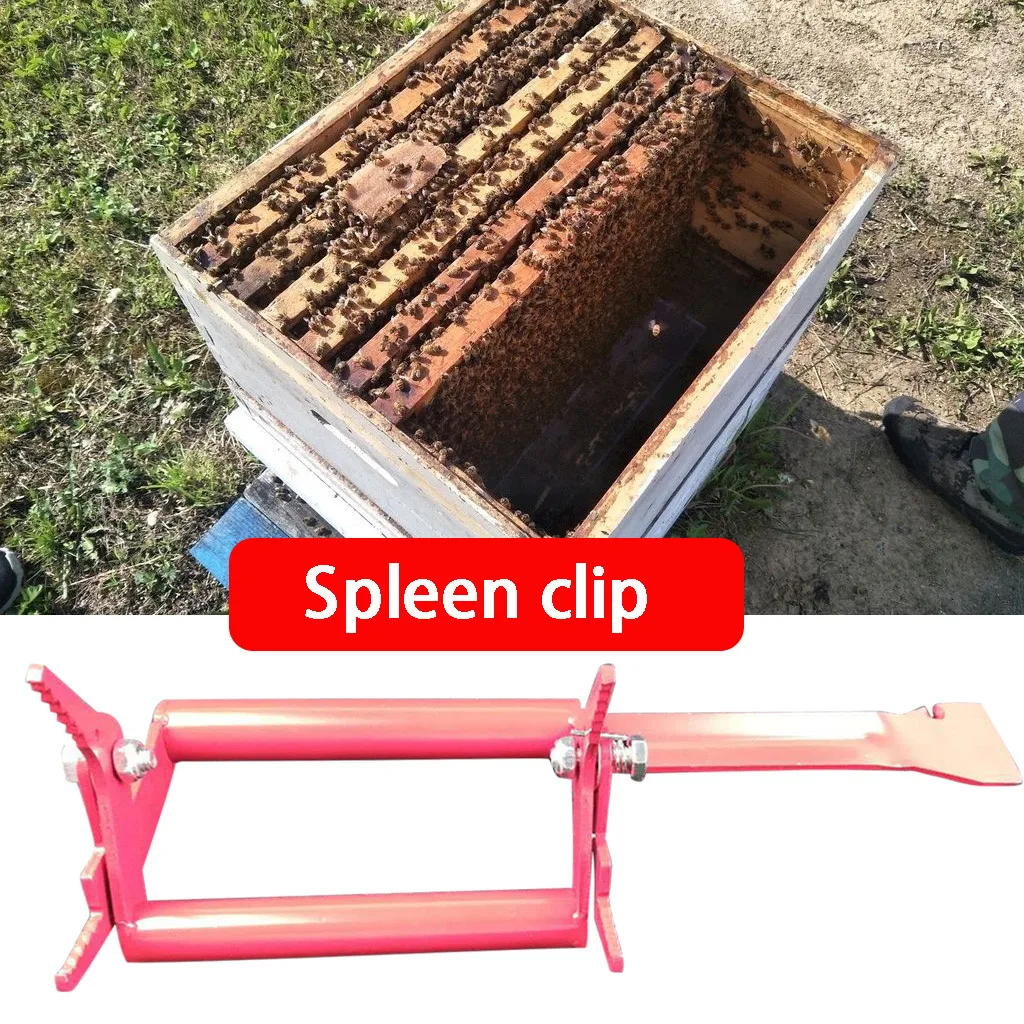 

spleen clip Tightening Holder Stainless Steel Honeycomb Spleen Grip Beehive Frame Clip Bee Hive Frame Holder Lifter Capture Grip
