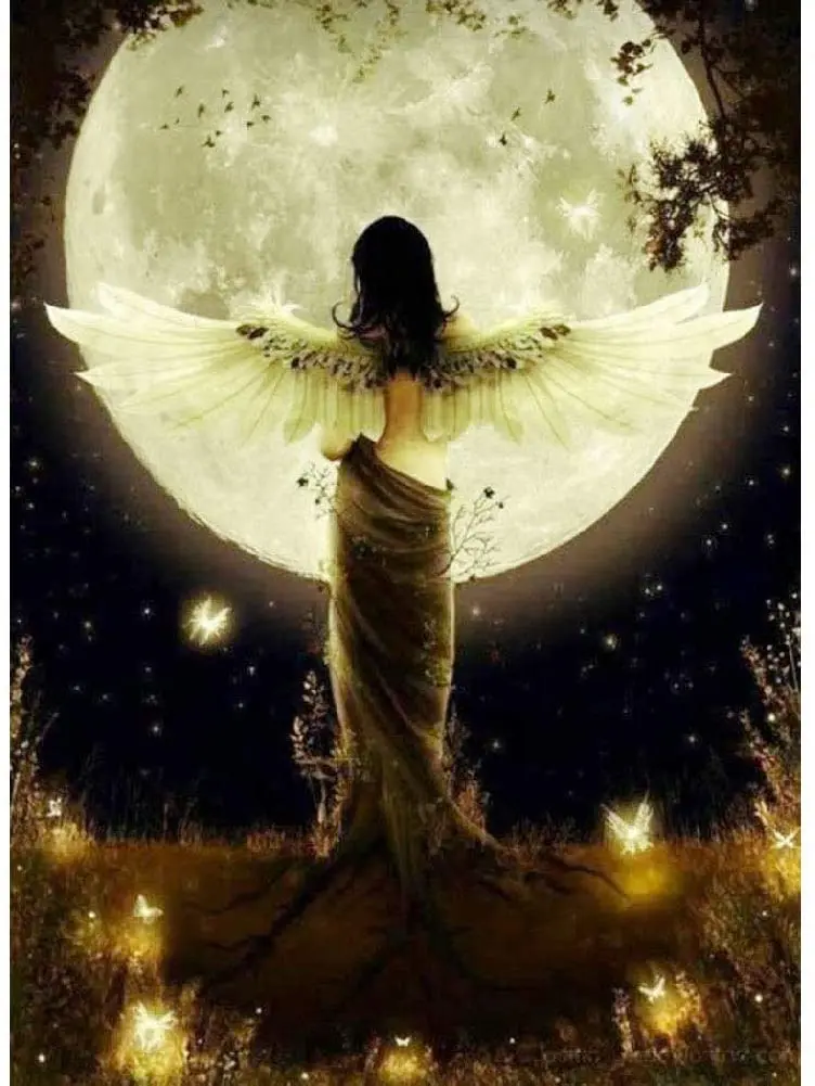 61Nl9f1+6mL._AC_SL1001_