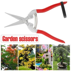 Cisaille de jardinage à main Micro pointe, cisaille de taille, coupe de feuilles, ciseaux de fleuriste droits pour plantes, ciseaux de jardinage 