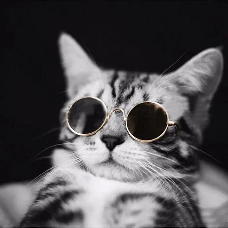 DSstyles модные крутые очки для кошек Защитные солнцезащитные собак щенков Китти