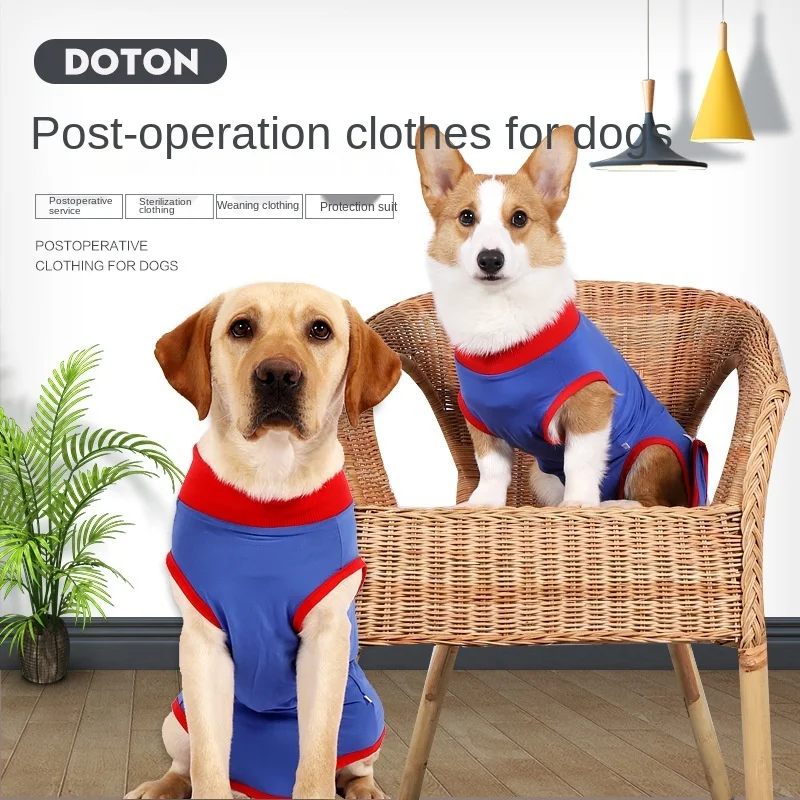 Dog Sterilization Surgery Recovery Clothes Dog Postoperative Care