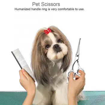 

Professional Cat Dog Hair Cutting Scissors Pet Grooming Hairdressing Shear Set Straight Curved Thinning Shears