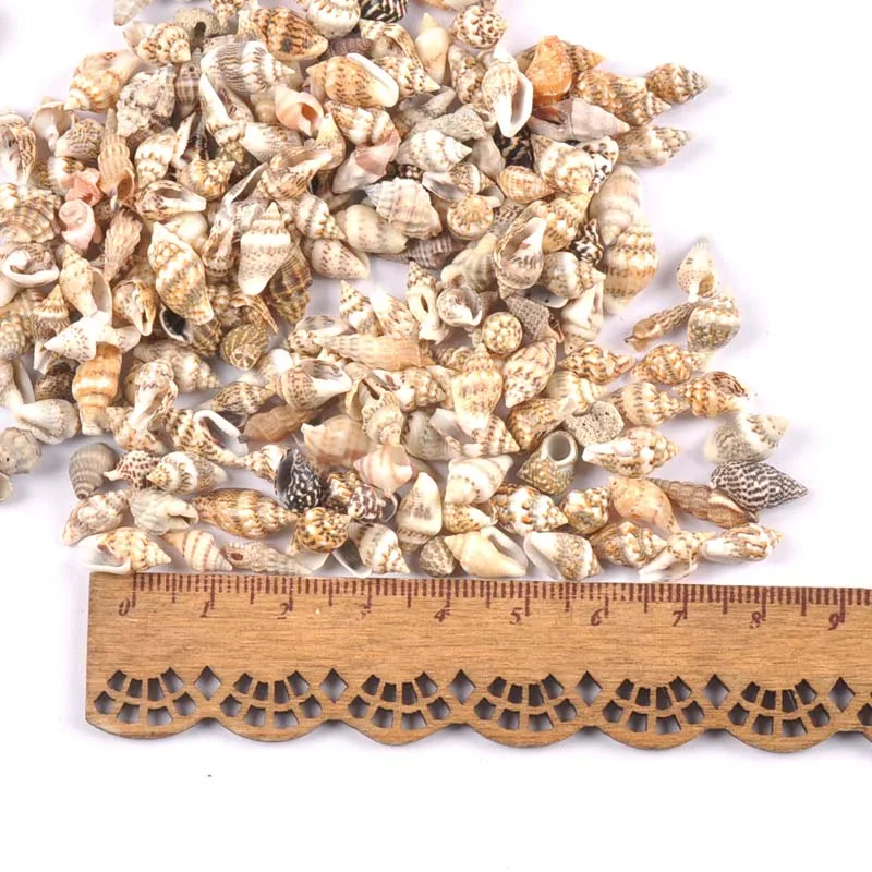 Natural Shell Ornaments Leopard Print Stripe Spiral 100pcs for Scrapbooking Glass Bottle Home Decoration