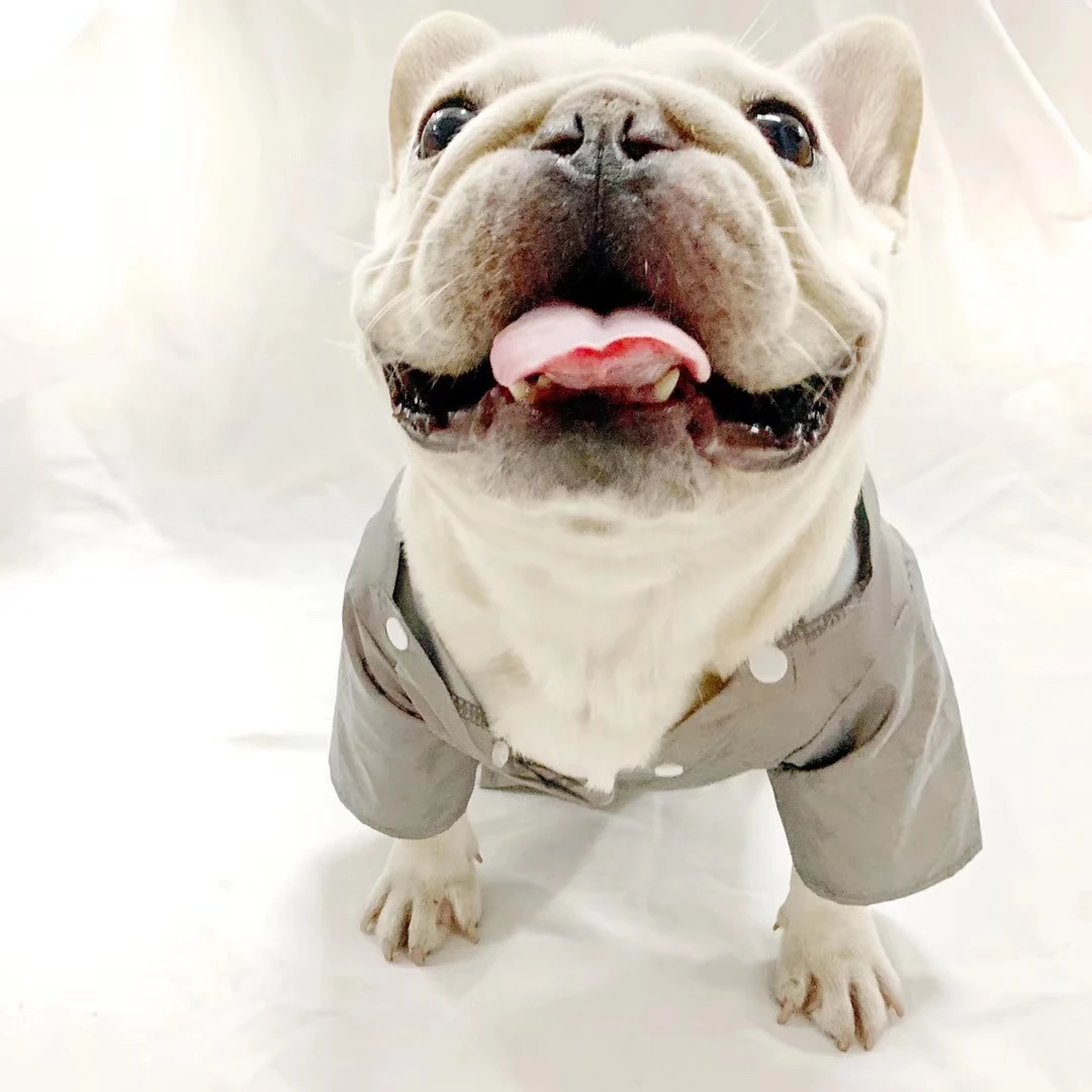 dog apparel stores near me