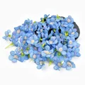 Darkblue daisy
