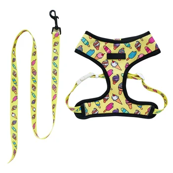 

Printed Dog Harness and Leash Set Pets Vest Adjustable Breathable Dogs Outdoor Walking Training Reversible Harness and Leash/